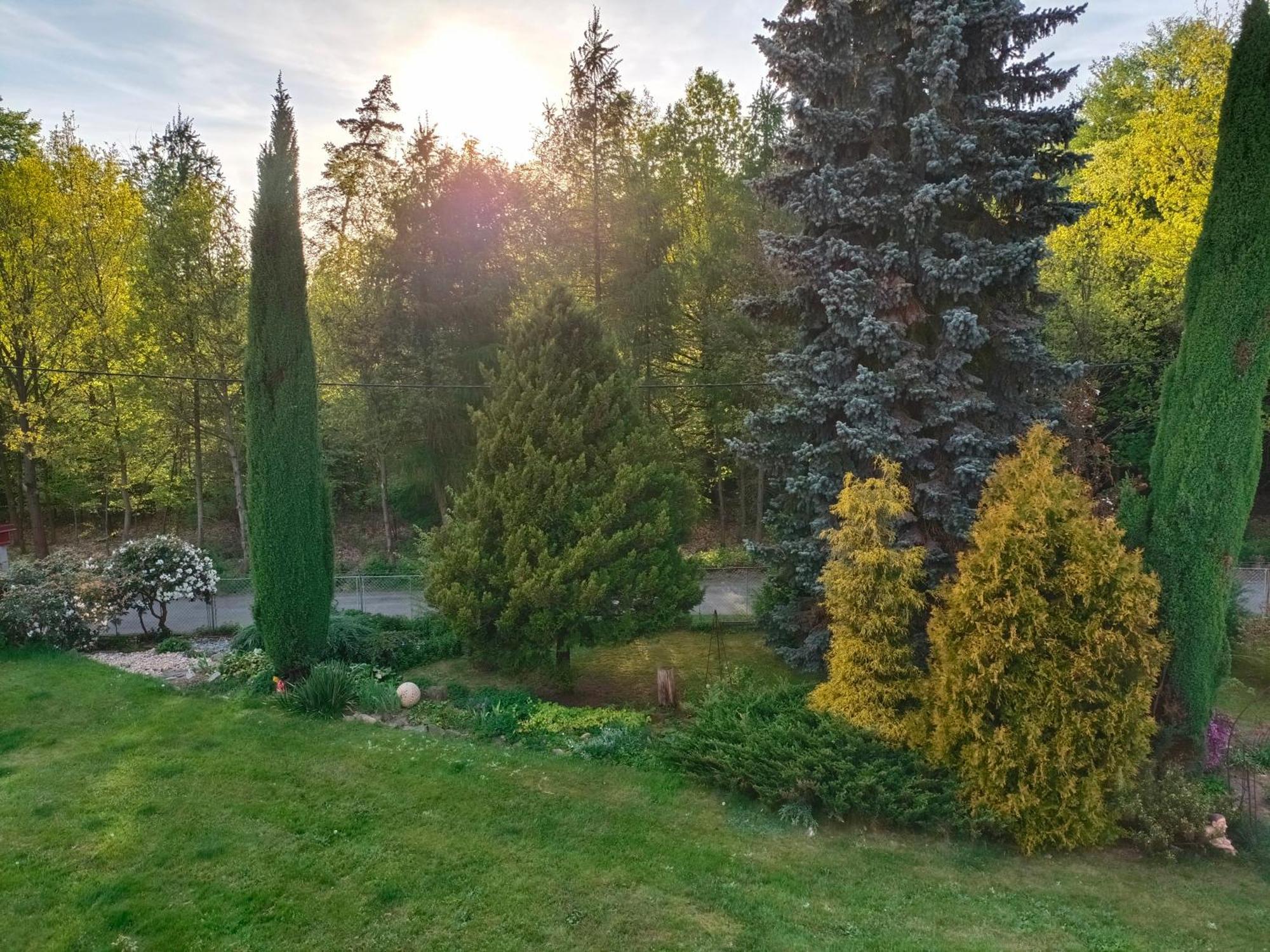 Apartman Za Lesem Червены-Костелец Экстерьер фото